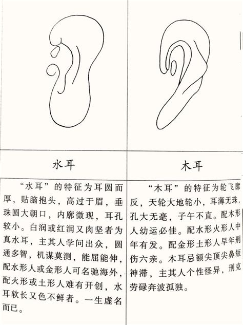 耳 相|面相入门